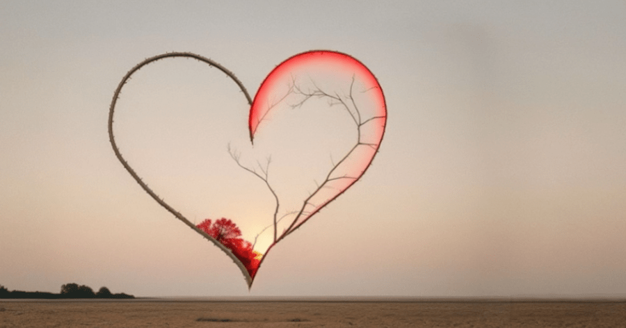 Image d'un cœur dont l'un des côtés est sombre et l'autre rouge pour symboliser la relation toxique